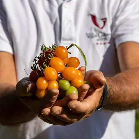 Ginevra Agrituristico 4*