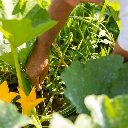 Ginevra Agrituristico